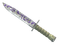 ★ Bayonet | Freehand (Well-Worn)
