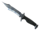 ★ Bowie Knife | Stained (Minimal Wear)
