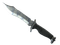 ★ Bowie Knife | Stained (Well-Worn)