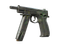 CZ75-Auto | Тропическая штриховка (Закалённое в боях)
