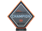 Чемпион DreamHack 2013