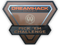 Бронзовый трофей прогнозов на DreamHack Winter 2014