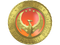Gold Operation Phoenix Coin