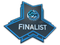 Finalist at ESL One Katowice 2015