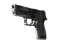 Сувенирный P250 | Пиксельный камуфляж «Металлический» (Немного поношенное)