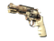 Souvenir R8 Revolver | Desert Brush (Field-Tested)