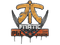 Sealed Graffiti | Fnatic | Krakow 2017