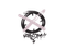 Sealed Graffiti | Noscope (War Pig Pink)