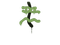 Sealed Graffiti | Recoil XM1014 (Battle Green)