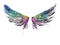 Sealed Graffiti | Wings