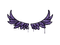Sealed Graffiti | Take Flight (Monster Purple)