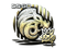 Sticker | North (Gold) | 2020 RMR