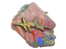 Sticker | ANNIHILATION (Holo) | Rio 2022