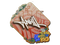 Sticker | ANNIHILATION | Rio 2022