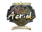 Наклейка | Aerial (золотая) | Берлин-2019