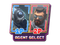 Sticker | Agent Select