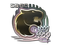 Sticker | FURIA | 2020 RMR