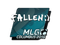 Sticker | FalleN | MLG Columbus 2016