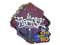 Sticker | FlameZ (Glitter) | Rio 2022