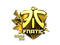Sticker | Fnatic (Gold) | Cologne 2016