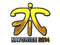 Sticker | Fnatic (Foil) | Katowice 2014