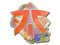 Sticker | Fnatic (Holo) | Rio 2022