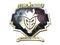 Sticker | G2 Esports (Gold) | Berlin 2019