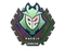 Sticker | G2 Esports (Holo) | London 2018