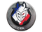 Sticker | G2 Esports | Katowice 2019