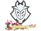 Sticker | G2 Esports | Shanghai 2024