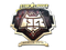 Sticker | HellRaisers (Gold) | Berlin 2019