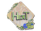 Sticker | HexT (Holo) | Rio 2022