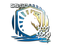 Sticker | Liquid (Foil) | 2020 RMR