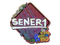 Sticker | SENER1 (Glitter) | Rio 2022