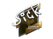 Sticker | SicK (Foil) | Boston 2018