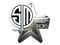 Sticker | Team SoloMid (Foil) | Cluj-Napoca 2015