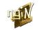 Sticker | ngiN (Gold) | Boston 2018