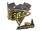Sticker | buster (Holo) | Stockholm 2021