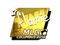 Sticker | flamie (Gold) | MLG Columbus 2016