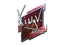 Sticker | kNgV- (Foil) | Boston 2018