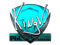 Sticker | kNgV- (Foil) | Krakow 2017