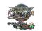 Sticker | karrigan (Holo, Champion) | Antwerp 2022