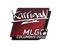 Sticker | karrigan | MLG Columbus 2016