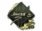 Sticker | lauNX (Gold) | Rio 2022