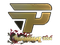 Sticker | paiN Gaming (Gold) | Shanghai 2024
