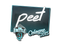 Sticker | peet | Cologne 2015