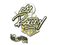 Sticker | rallen (Gold) | Paris 2023
