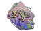Sticker | saffee (Holo) | Rio 2022