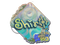 Sticker | sh1ro (Holo) | Rio 2022