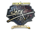 Sticker | shox (Gold) | Berlin 2019